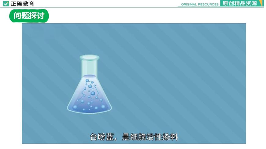 3.1 細(xì)胞膜的結(jié)構(gòu)和功能（第一課時(shí)）課件PPT第7頁