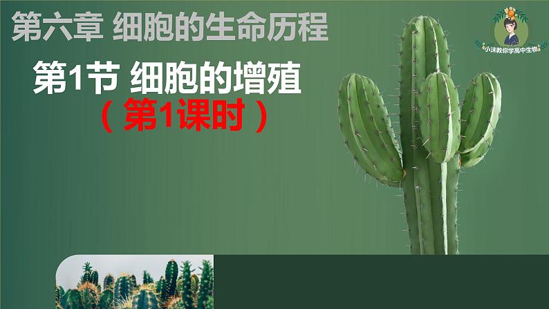 6.1细胞的增殖(第1课时)课件PPT第1页