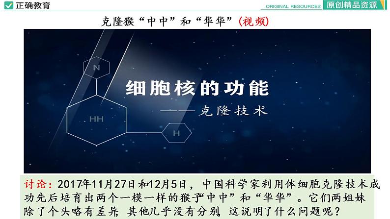 3.3 细胞核的结构和功能课件PPT03