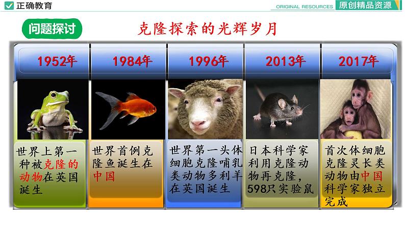 3.3 细胞核的结构和功能课件PPT05