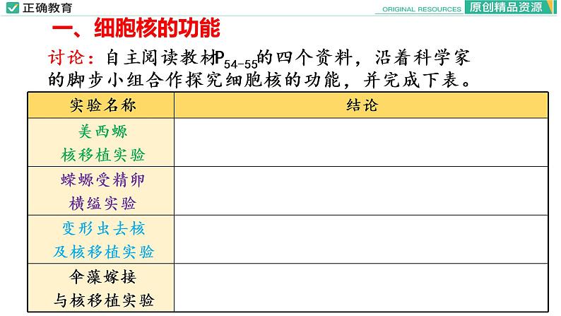 3.3 细胞核的结构和功能课件PPT07