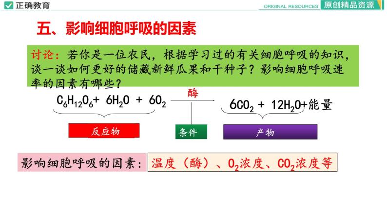 5.3 细胞呼吸的原理和应用（第三课时）课件PPT04