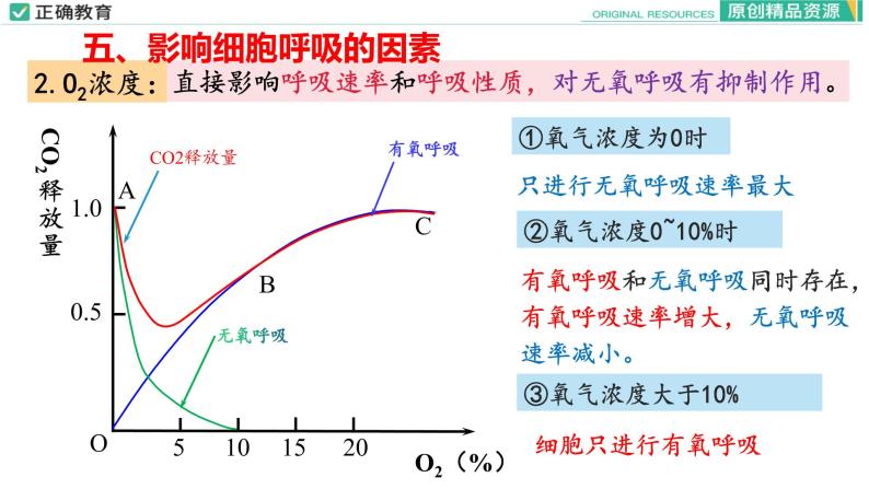 5.3 细胞呼吸的原理和应用（第三课时）课件PPT07