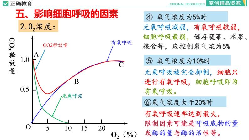 5.3 细胞呼吸的原理和应用（第三课时）课件PPT08