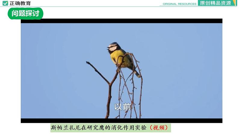 5.1 降低化学反应活化能的酶(第一课时)课件PPT03