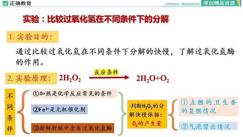 5.1 降低化学反应活化能的酶(第一课时)课件PPT07