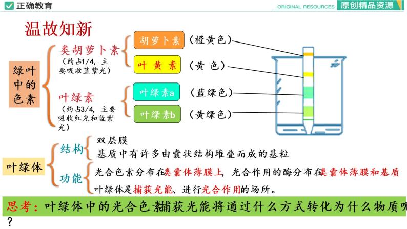 5.4 光合作用与能量转化（第二课时）课件PPT03