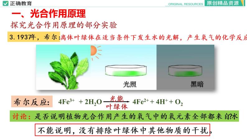 5.4 光合作用与能量转化（第二课时）课件PPT06