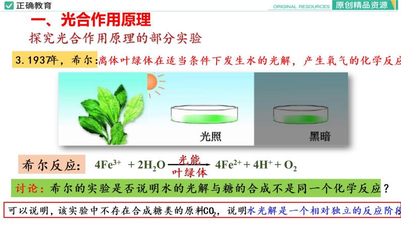 5.4 光合作用与能量转化（第二课时）课件PPT07