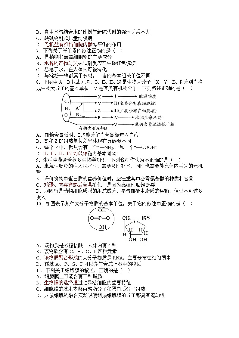 2022-2023学年四川省宜宾市南溪第二中学校高一上学期生物期末模拟试题(二)第2页