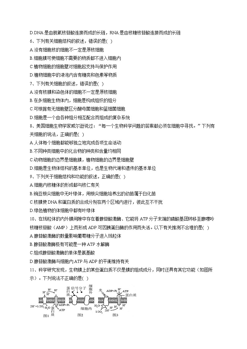 2022-2023学年河南省洛阳市第一中学高一上学期期末生物达标训练02