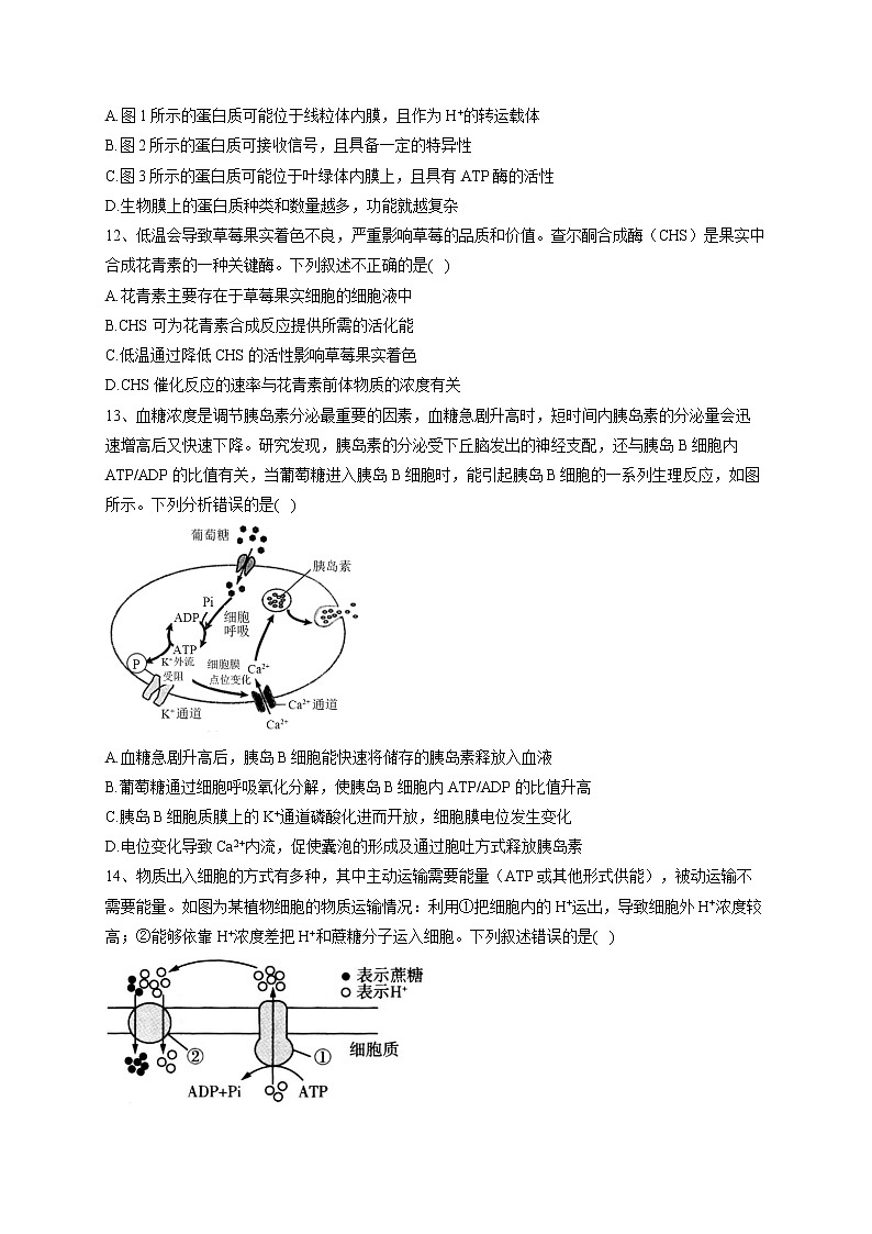 2022-2023学年河南省洛阳市第一中学高一上学期期末生物达标训练03