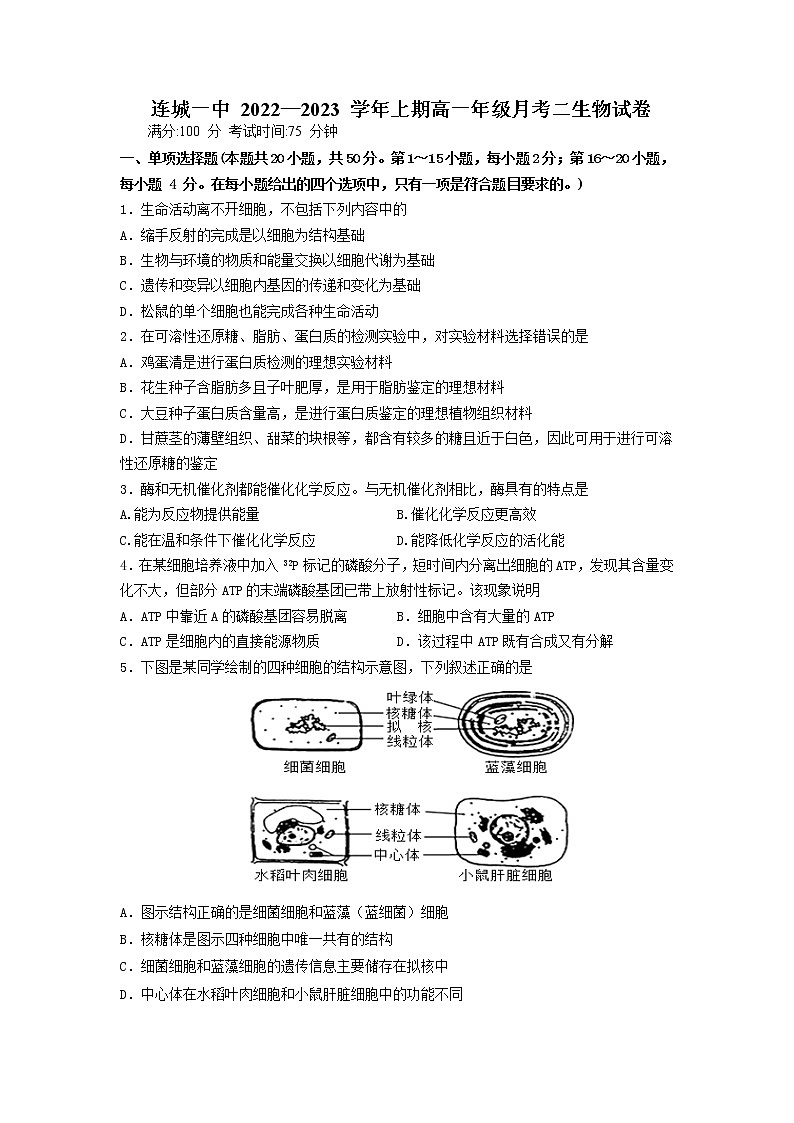 2022-2023学年福建省龙岩市连城县第一中学高一上学期第二次月考生物试题01