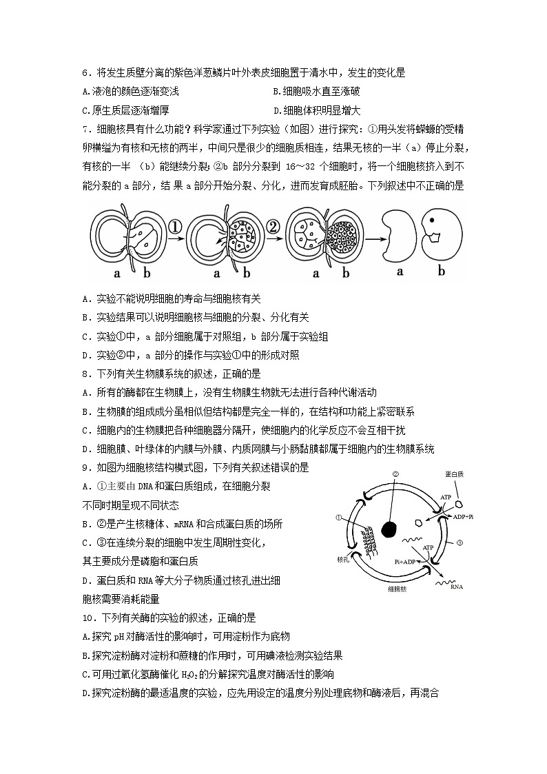 2022-2023学年福建省龙岩市连城县第一中学高一上学期第二次月考生物试题02