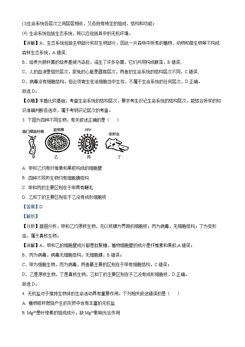 2022-2023学年河北省石家庄外国语学校高一上学期中生物试题(解析版)第2页