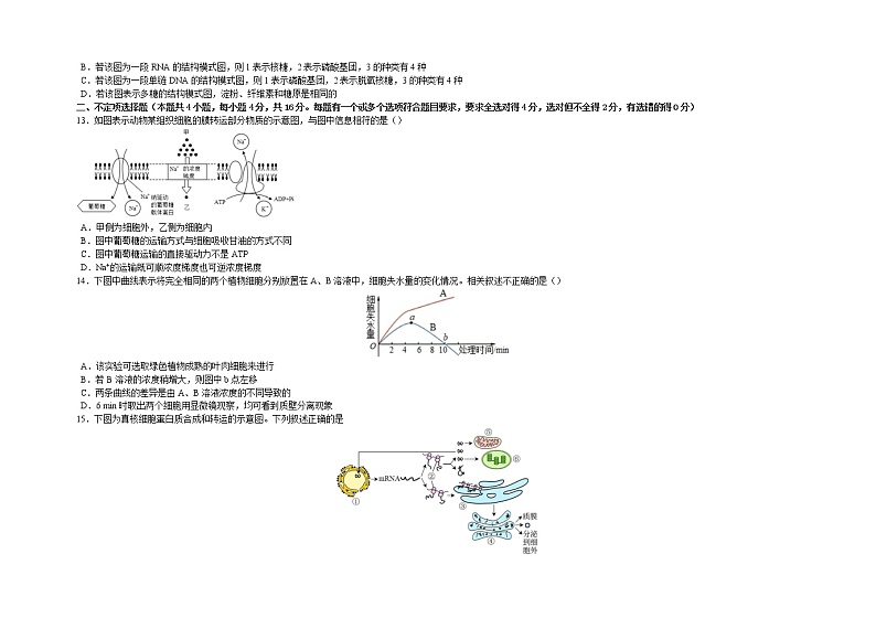 2022-2023学年江西省南昌市名校高一上学期12月月考生物学试题(Word版含答案)第3页