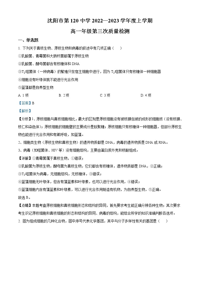 2022-2023学年辽宁省沈阳市一二〇中高一上学期第三次月考生物试题（解析版）01