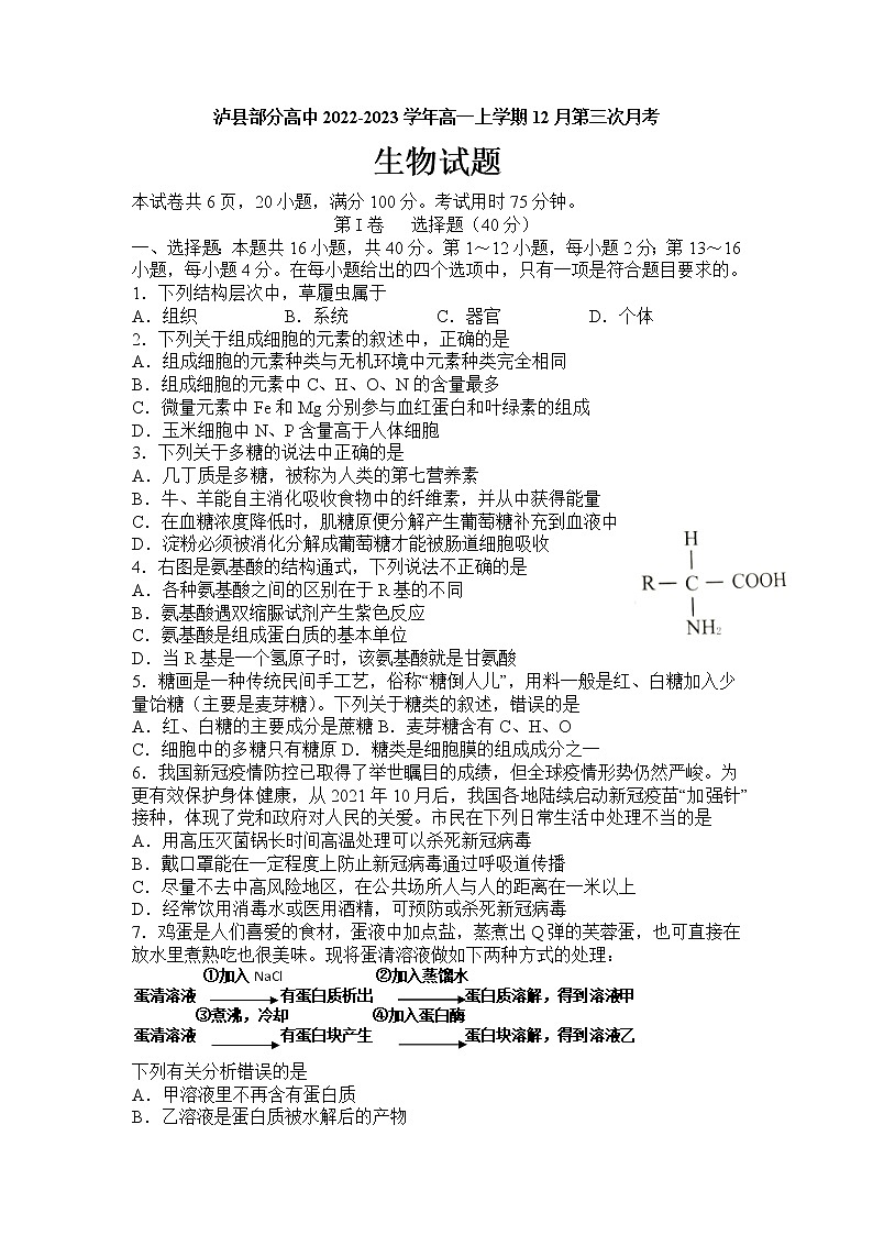 2022-2023学年四川省泸州市泸县部分高中高一上学期12月第三次月考生物学试题(Word版含答案)第1页