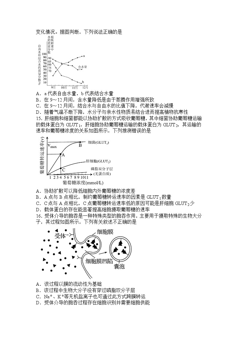 2022-2023学年四川省泸州市泸县部分高中高一上学期12月第三次月考生物学试题(Word版含答案)第3页