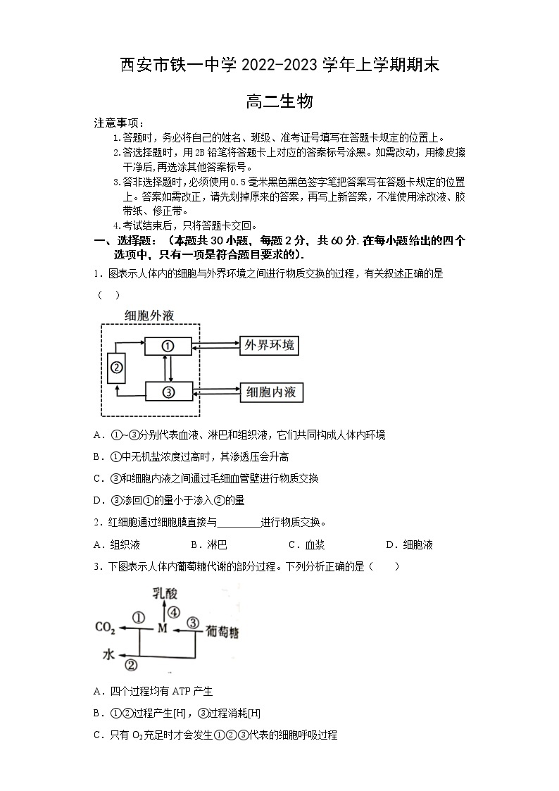 陕西省西安市铁一中学2022-2023学年高二生物上学期1月期末试题（Word版附答案）01