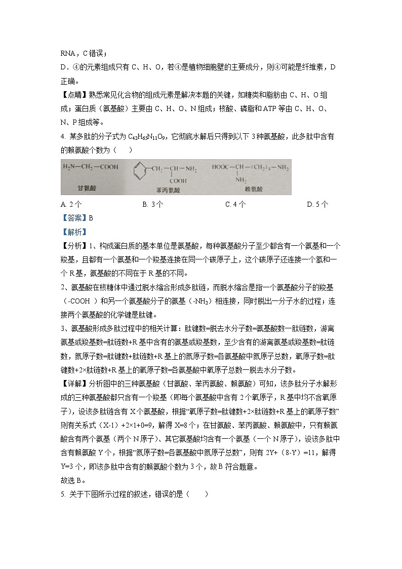 湖南省衡阳耒阳市二中2022-2023学年高一生物上学期期末考试试卷(Word版附解析)03