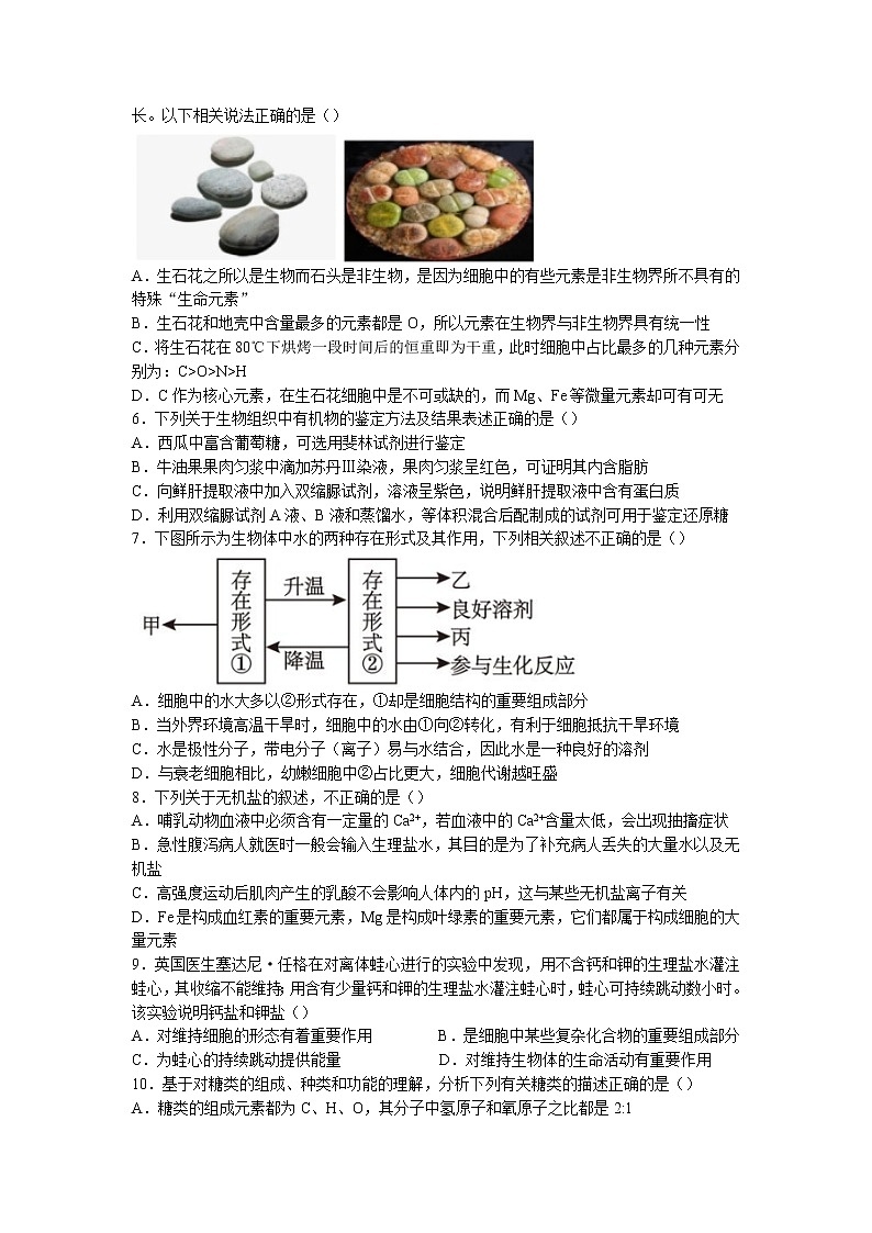 2022-2023学年重庆市渝东六校共同体高一上学期联合诊断考试生物试题02