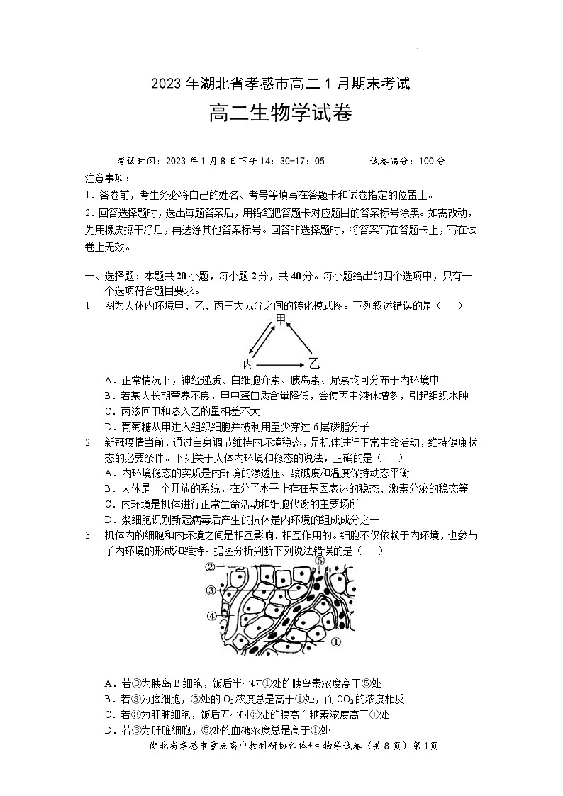 湖北省孝感市2022-2023学年高二生物上学期1月期末考试试题(Word版附解析)01