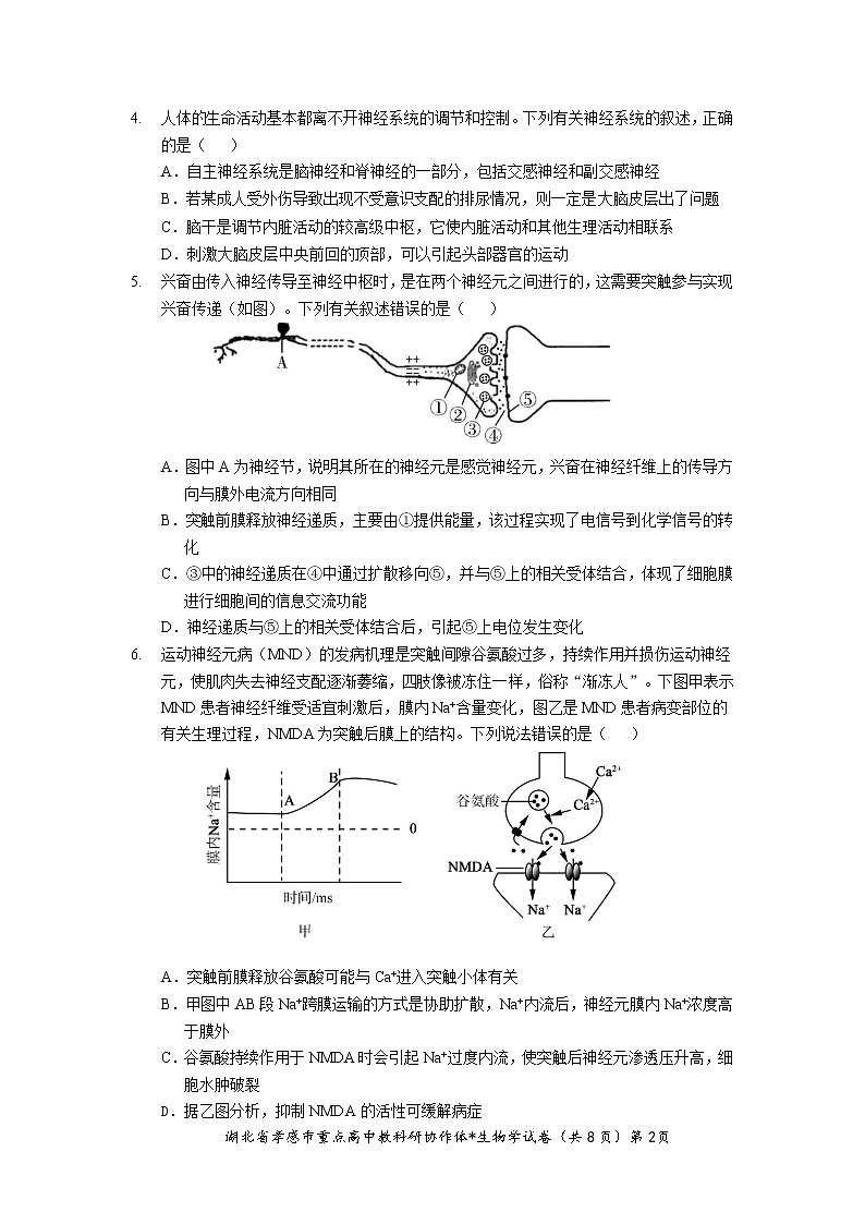 湖北省孝感市2022-2023学年高二生物上学期1月期末考试试题(Word版附解析)02