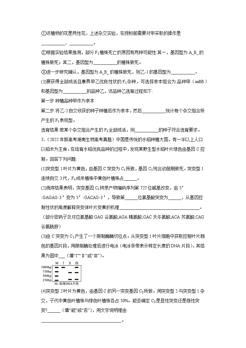 五年2018-2022高考生物真题按知识点分类汇编32-基因的分离定律-综合题、实验题(含解析)第2页
