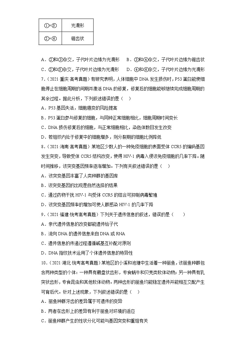 五年2018-2022高考生物真题按知识点分类汇编43-基因突变(含解析)第3页