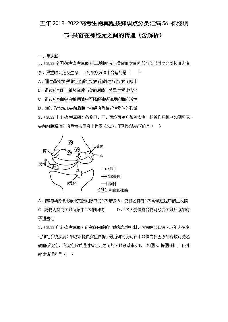 五年2018-2022高考生物真题按知识点分类汇编56-神经调节-兴奋在神经元之间的传递(含解析)第1页