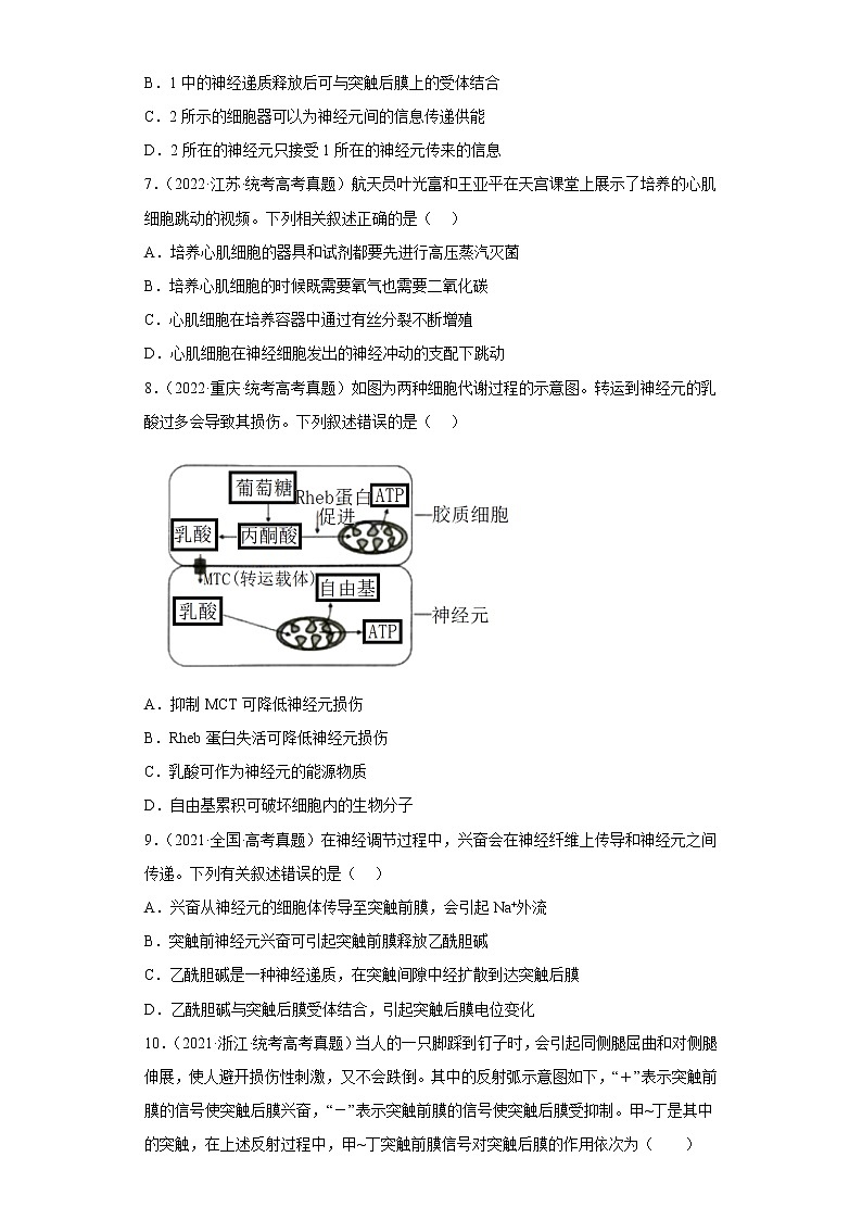 五年2018-2022高考生物真题按知识点分类汇编56-神经调节-兴奋在神经元之间的传递(含解析)第3页