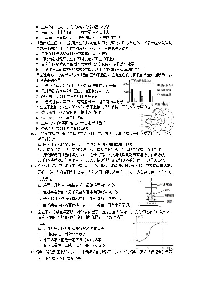 湖南省岳阳市2022-2023学年高一生物上学期期末试题(Word版附答案)第2页