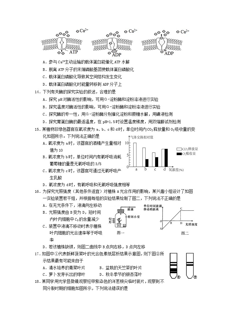 湖南省岳阳市2022-2023学年高一生物上学期期末试题(Word版附答案)第3页