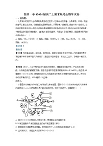湖北省武汉市新洲区一中2022-2023学年高二生物上学期末联考试题（Word版附解析）