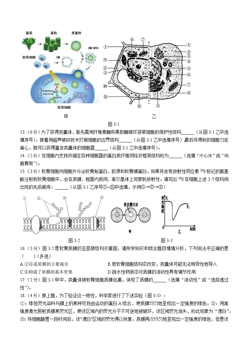 2023上海市上海中学高一上学期期末练习生物试题无答案03