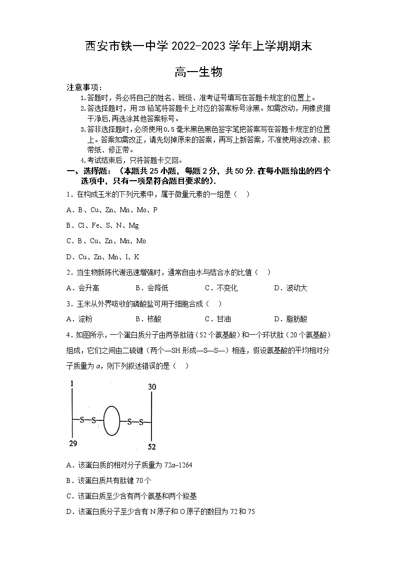 2023西安铁一中学高一上学期1月期末考试生物试题含答案第1页