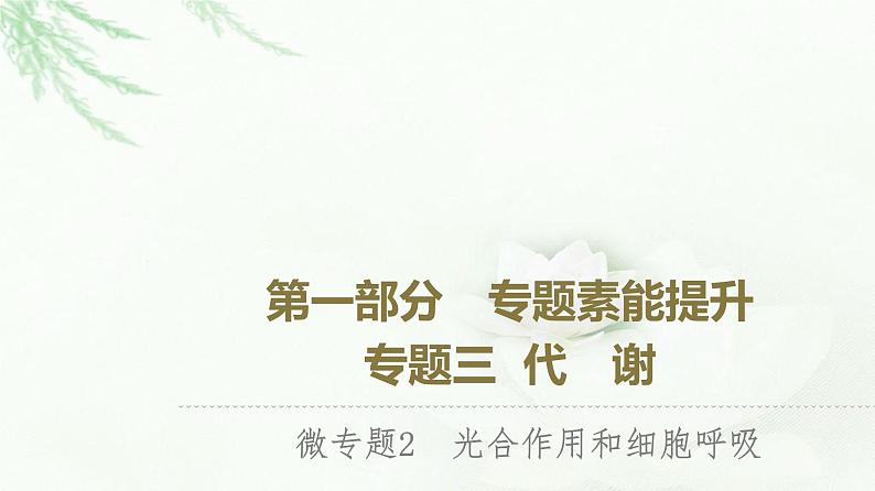 2023届高考生物二轮复习微专题2光合作用和细胞呼吸课件第1页