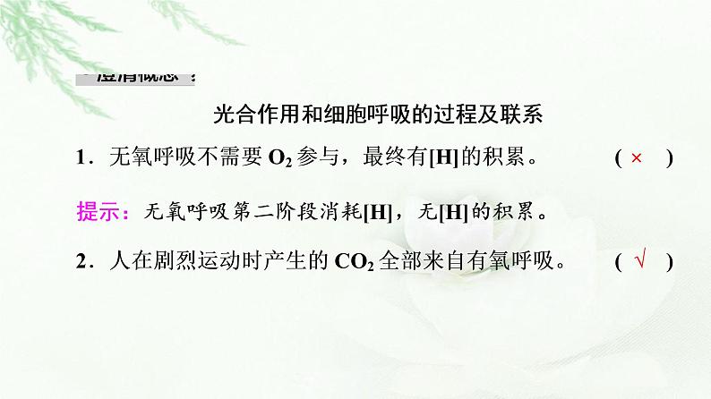 2023届高考生物二轮复习微专题2光合作用和细胞呼吸课件第3页