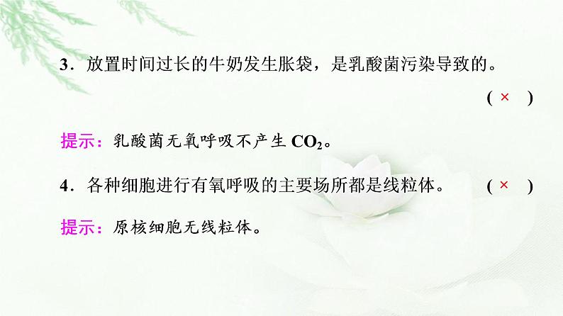 2023届高考生物二轮复习微专题2光合作用和细胞呼吸课件第4页