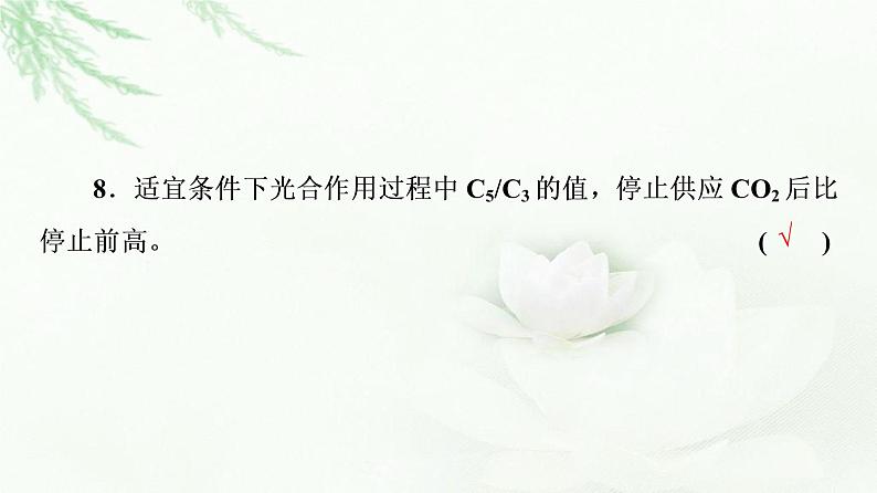 2023届高考生物二轮复习微专题2光合作用和细胞呼吸课件第6页
