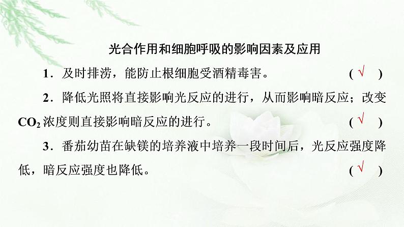2023届高考生物二轮复习微专题2光合作用和细胞呼吸课件第7页