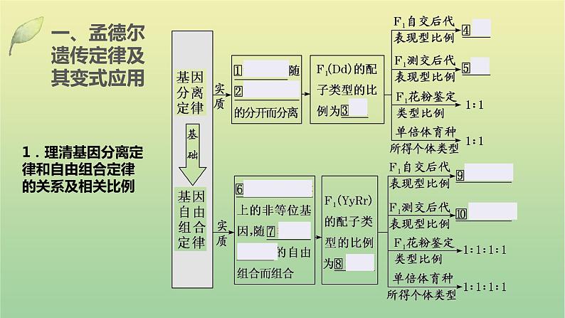 2023届高考生物二轮复习遗传规律与伴性遗传课件03