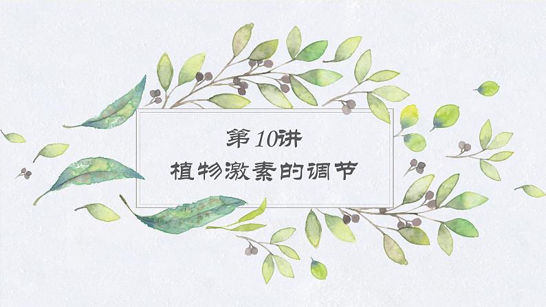 2023届高考生物二轮复习植物激素的调节课件01