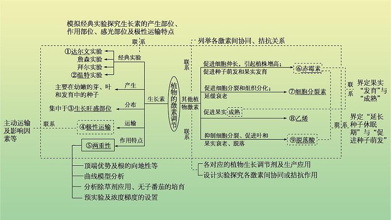 2023届高考生物二轮复习植物激素的调节课件02