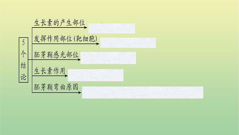 2023届高考生物二轮复习植物激素的调节课件04