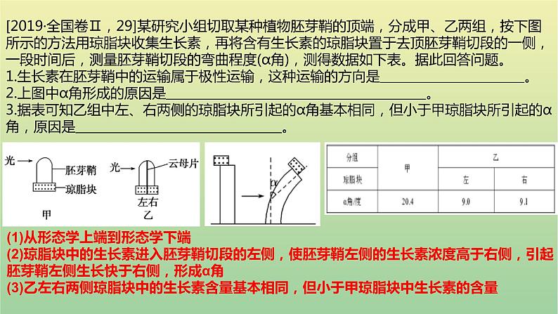 2023届高考生物二轮复习植物激素的调节课件07