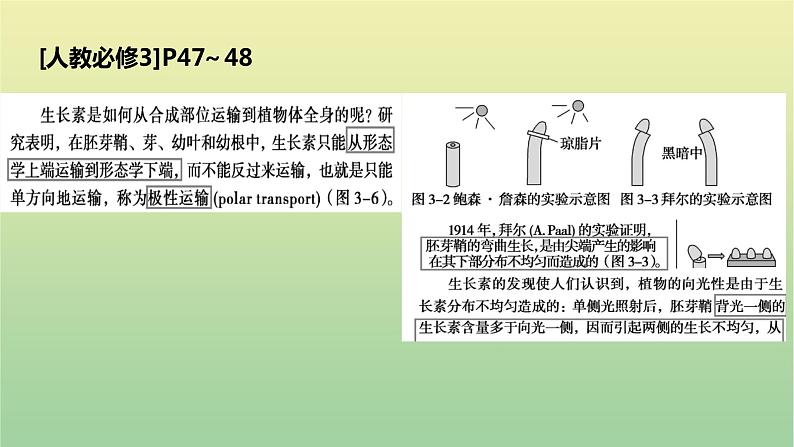2023届高考生物二轮复习植物激素的调节课件08