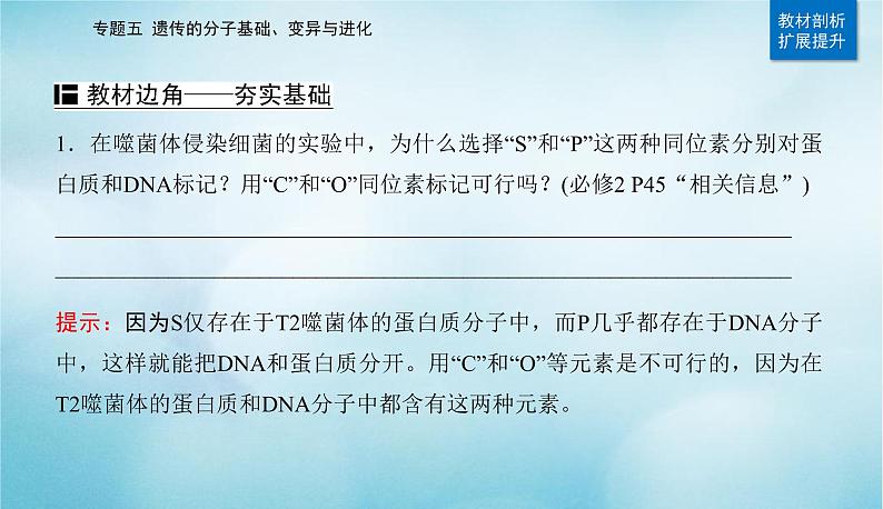 2023届高考生物二轮复习遗传的分子基础课件第3页
