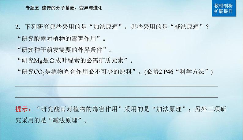 2023届高考生物二轮复习遗传的分子基础课件第4页